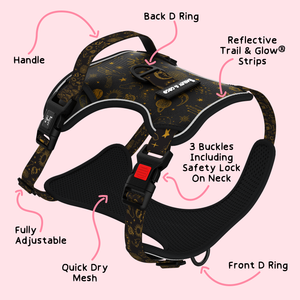 Trail & Glow® Harness Bundle Set - Celestial.