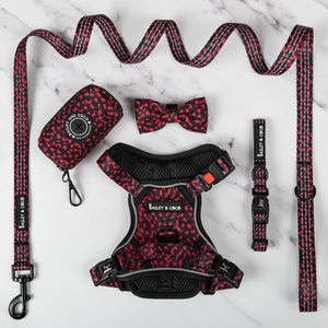 Trail & Glow® Harness Bundle Set - Dark Romance (No Bow Tie).