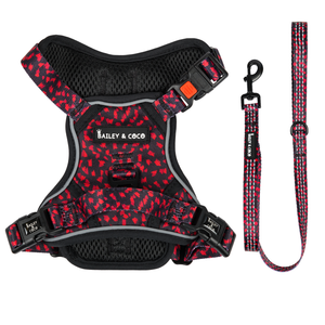 Dog Harness and Lead Set - Dark Romance.