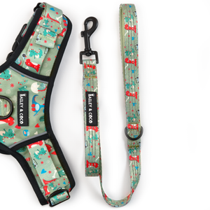 Trail & Glow® Fabric Dog Lead 5ft - Dino Party.