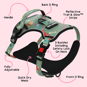 Trail & Glow® Harness Bundle Set - Dino Party.