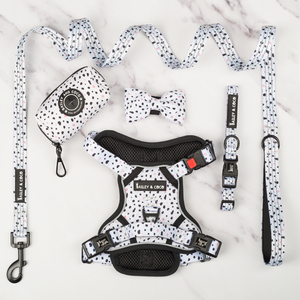 Trail & Glow® Harness Bundle Set - Ditsy Dalmatian.