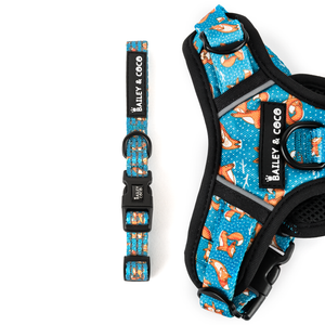 Trail & Glow® Collar - Foxy Yoga.