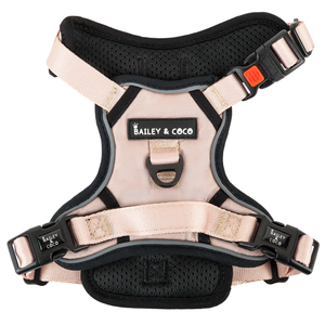 Trail & Glow® Dog Harness - The Champagne One.