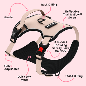 Trail & Glow® Dog Harness - The Champagne One.