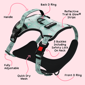 Trail & Glow® Dog Harness - The Charity One.