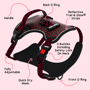 Trail & Glow® Harness Bundle Set - Dark Romance (No Bow Tie).