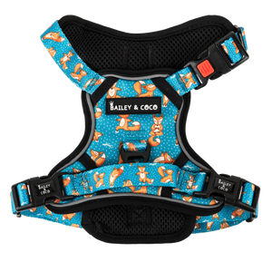 Trail & Glow® Dog Harness - Foxy Yoga.