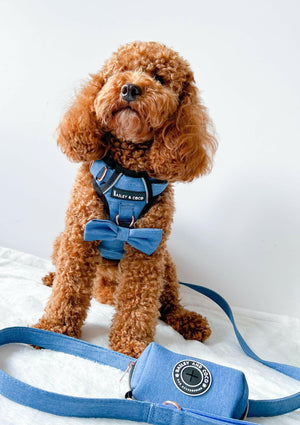 Trail & Glow® Dog Harness - The Denim One.