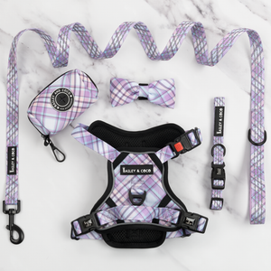 Trail & Glow® Dog Harness Bundle Set - Lilac Haze.