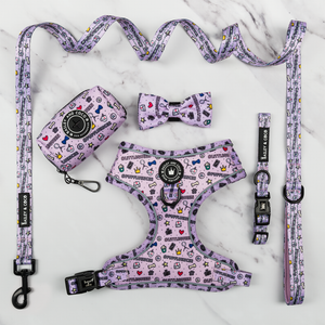 Glow Harness® Bundle Set - Pupfluencer Little Queen.