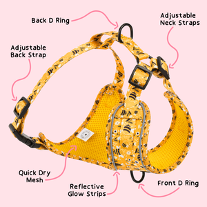 Glow Harness® and Lead Set - Pupfluencer Little Queen.
